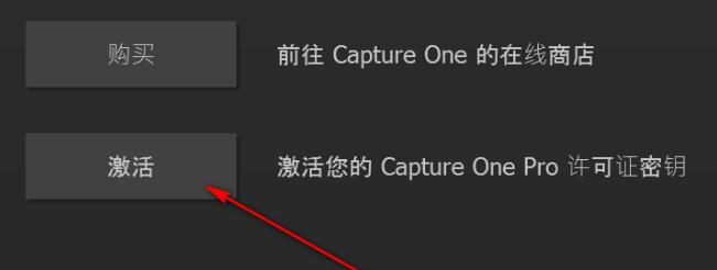 Capture One pro(飞思相机) 