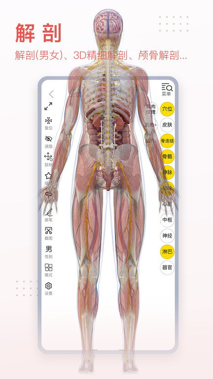 3dbody人体解剖学app免费版 3dbody解剖图手机版下载