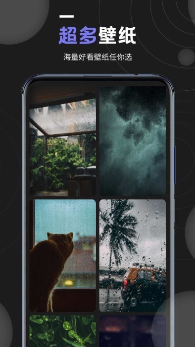 我的壁纸 我的壁纸