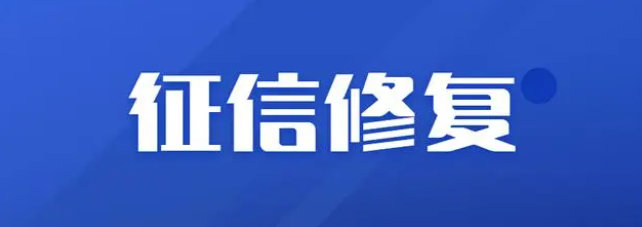 企查查app安卓版